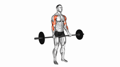Barbell Drag Curl